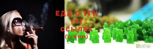 индика Бугульма
