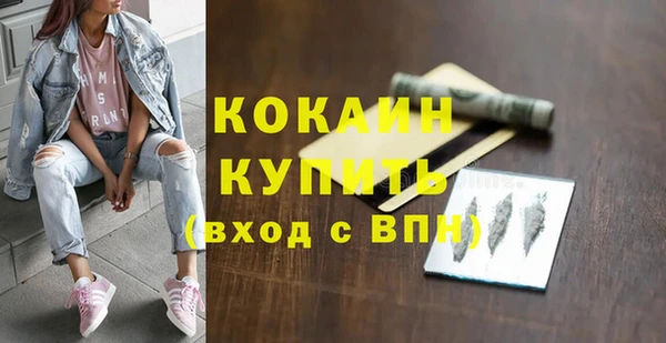 ГАЛЛЮЦИНОГЕННЫЕ ГРИБЫ Бородино
