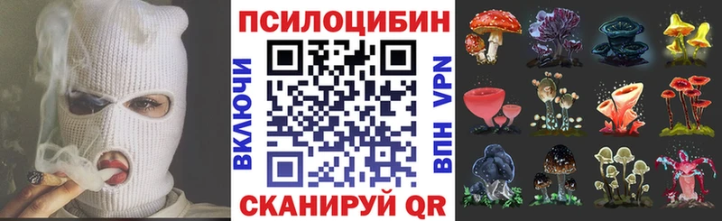 Галлюциногенные грибы Magic Shrooms Кемь